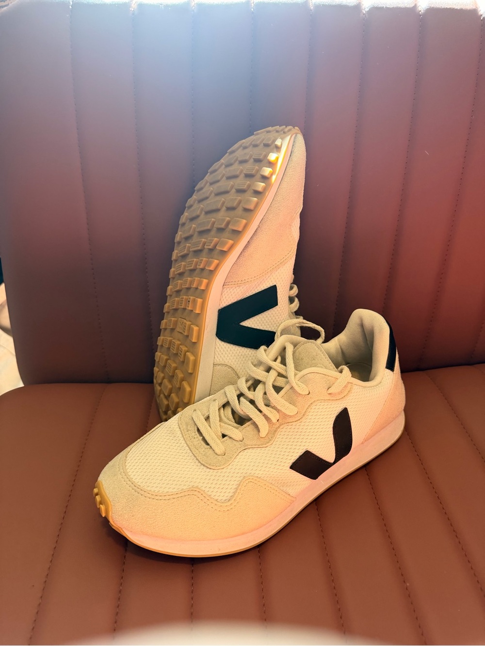 Veja Beige and Black Men's Sneakers